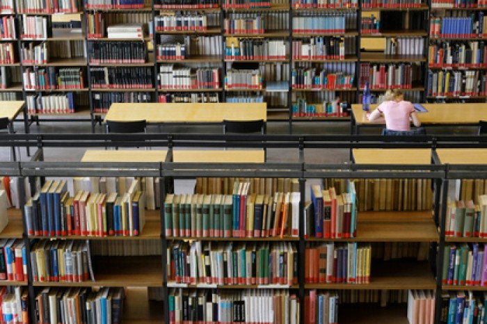 Голодные крысы сгрызли редкие книги на 200 тысяч евро