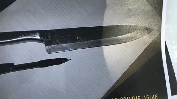 Полицейские задержали школьниц-сатанисток, которые планировали зарезать 15 детей