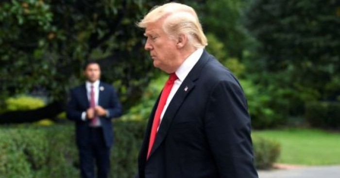 "Думаю, что-то происходит": Трамп больше не считает изменения климата "вымыслом"