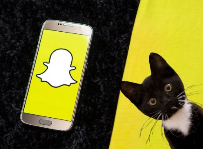 Snapchat научился накладывать маски на кошек
