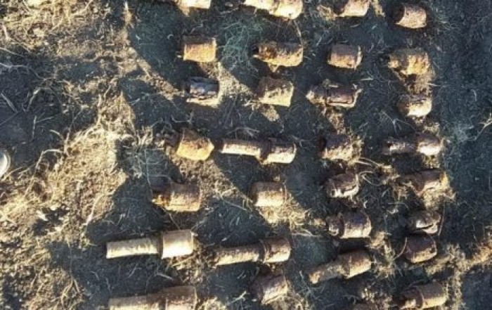 Жизнь на минах и гранатах: в Харьковской области во дворе дома нашли более 200 боеприпасов