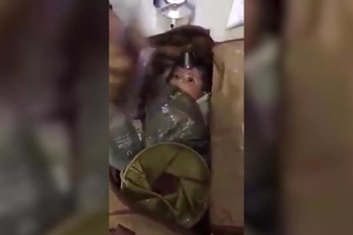 Пролежавшего весь полет в сумке похищенного ребенка нашли в аэропорту