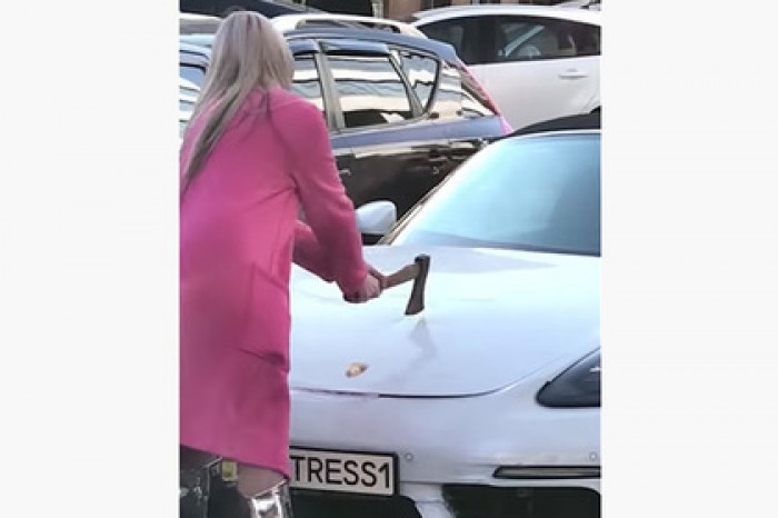 Рубившая Porsche топором киевлянка в розовом пальто оказалась украинской певицей