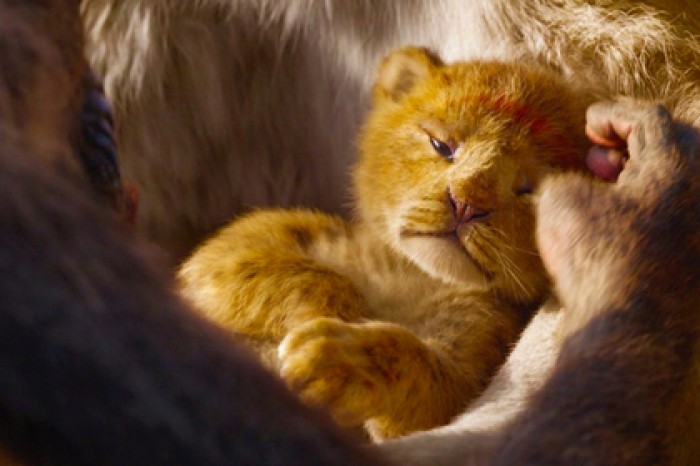 Трейлер нового «Короля Льва» побил рекорд по просмотрам
