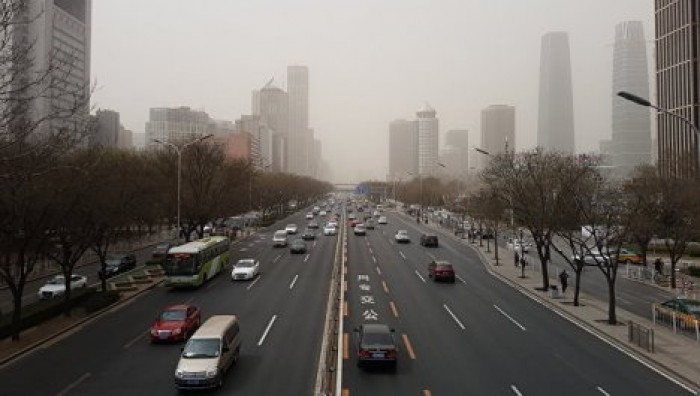 В Китае приостановили строительство моста из-за массовой гибели редких рыб