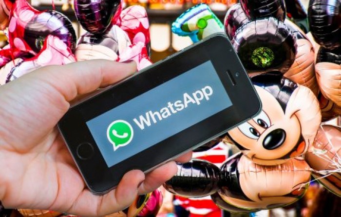В WhatsApp появились стикеры по мультфильму Disney