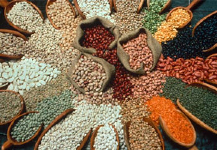 DE LA 1 DECEMBRIE, MOLDOVA POATE EXPORTA SEMINŢE ŞI MATERIALE SĂDITOR ÎN UNIUNEA EUROPEANĂ