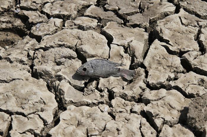 Предсказана глобальная нехватка питьевой воды