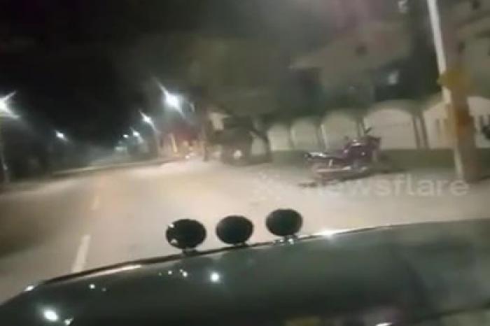 Противостояние полицейских и дикого слона сняли на видео