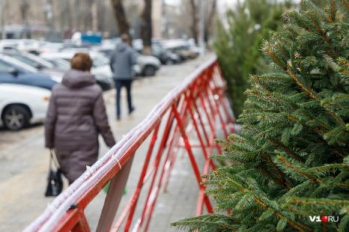 В канун праздника цены на елки в Кишиневе упали вдвое