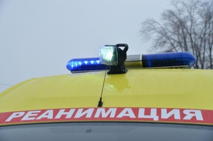 Россиянин перепутал автомобиль с лосем и застрелил егеря