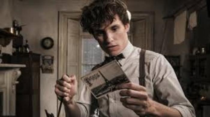 Warner Bros. перенесла съемки новых "Фантастических тварей"