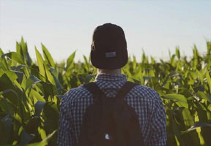 CETĂŢENII MOLDOVEI POT FACE STUDII DE MASTERAT ÎN AGRICULTURĂ ÎN UNGARIA