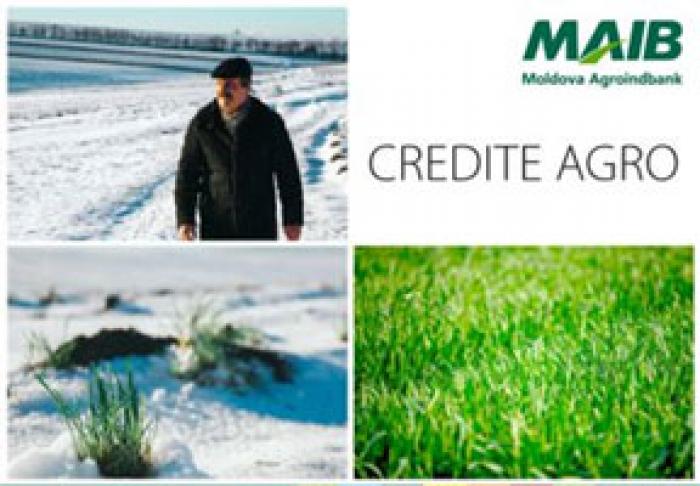 LA MAIB, TE CREDITĂM UŞOR. RECOLTEZI CU SPOR