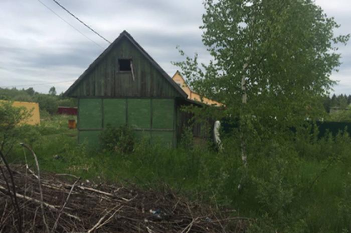Названа цена самых дешевых дач в Подмосковье