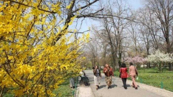 Потепление в Молдове в середине февраля
