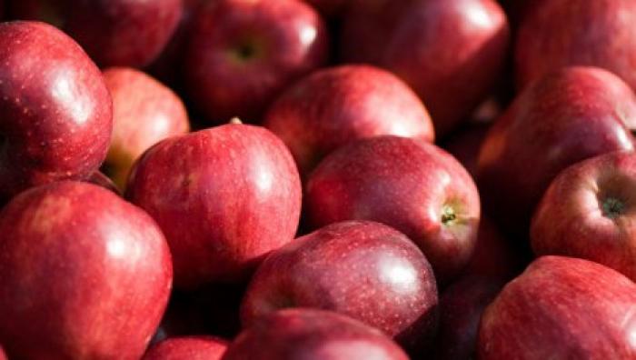 Спрос на молдавские фрукты растет: в 2018 году в АОЭ отправили продукции на 12 млн долларов