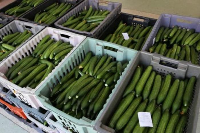 В США пограничники нашли в фуре с огурцами рекордную партию наркотиков