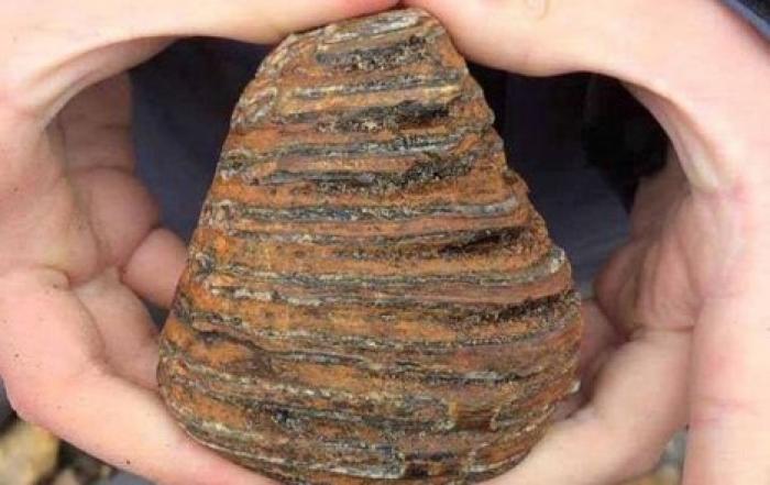 Британский школьник сделал археологическое открытие во время прогулки