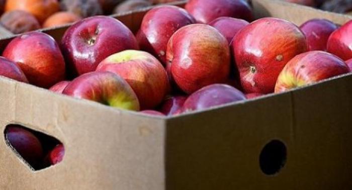 Фермерам помогут реализовать оставшуюся продукцию