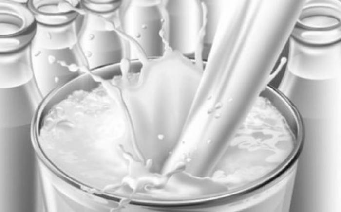 Почему нельзя сочетать молочные продукты и крахмал