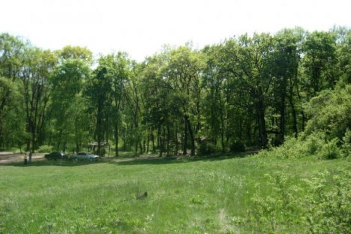 В этом году будет высажено 4375 гектаров леса, на 61 гектар больше, чем в 2018