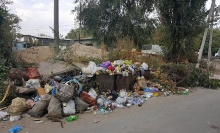 Власти предложили повысить штрафы за незаконный выброс мусора