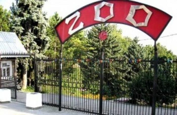 Животные из столичного зоопарка прогнозируют победу сборной Молдовы