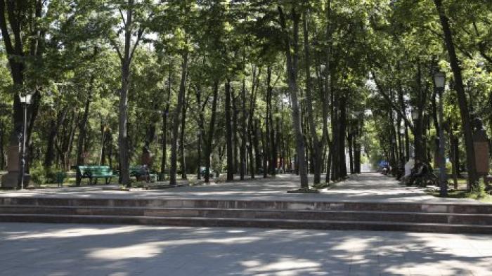 Бюст Думитру Матковски будет установлен на Аллее классиков