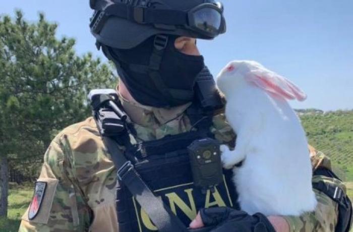 Офицеры НЦБК поздравили всех c пасхальными праздниками
