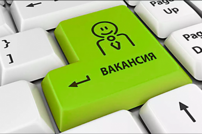 Опубликован рейтинг самых хорошо оплачиваемых вакансий в Молдове