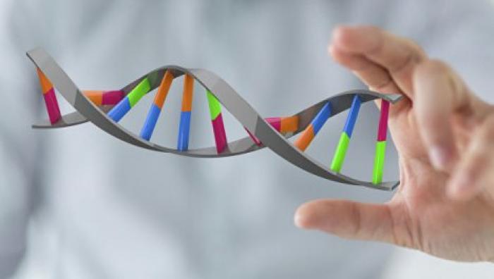 Создан "CRISPR-шредер" для измельчения рекордно длинных участков ДНК