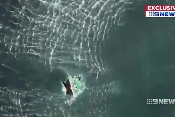 Спасение тонущих рыбаков из кишащей акулами воды попало на видео