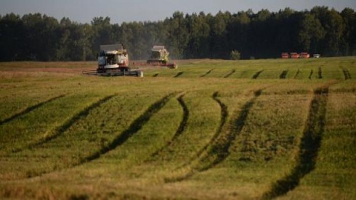 Специалисты: Резкая смена погоды негативно отразится на урожае