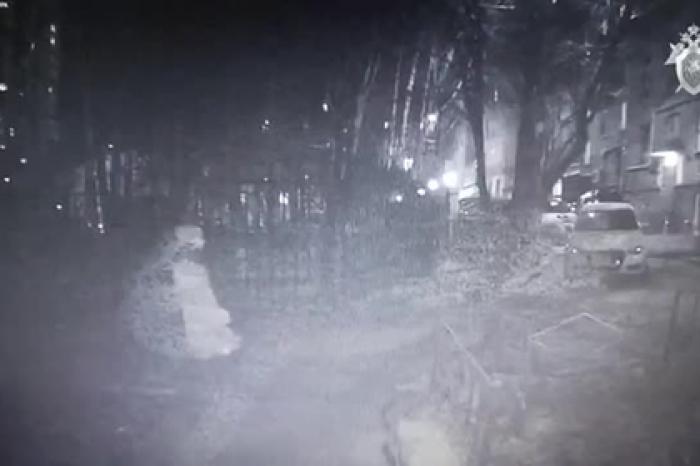 Убийство московской чиновницы попало на видео