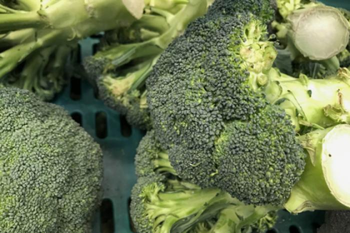 Доказана польза популярного продукта против рака