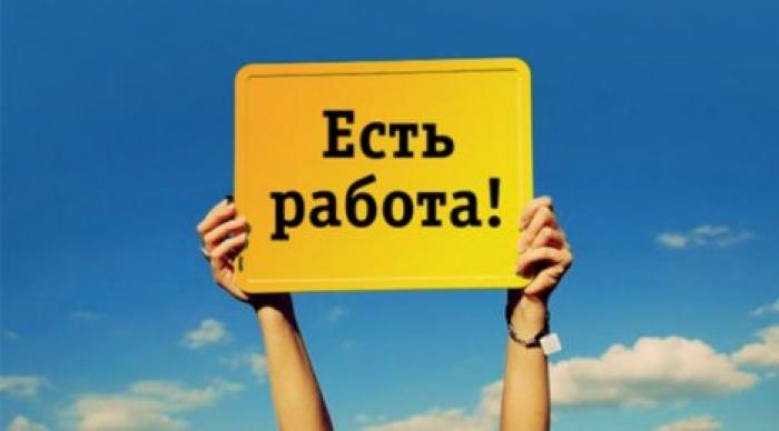 Есть работа: В Молдове зарегистрировано почти 11 тысяч вакансий