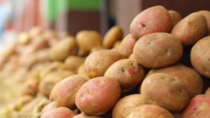 На границе Молдовы завернули партию картофеля привезенного из Беларуси