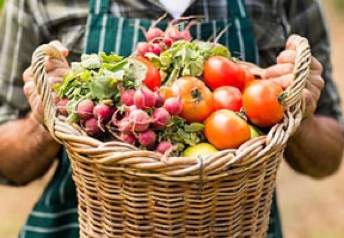 ÎN PRIMUL TRIMESTRU, PRODUCŢIA AGRICOLĂ ÎN MOLDOVA S-A REDUS CU 2%