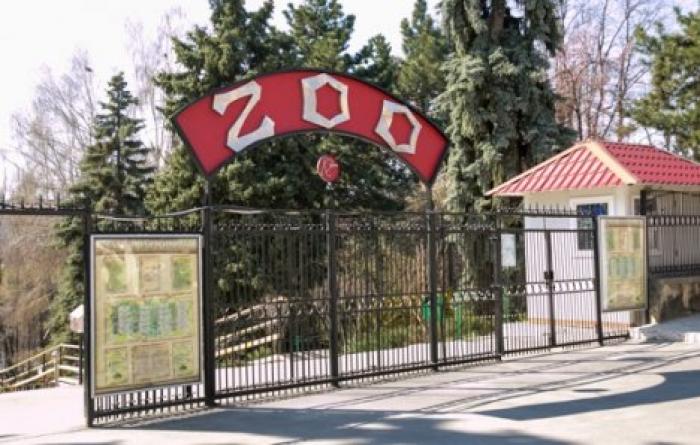 В зоопарке благоустроят вольер площадью в шесть тысяч квадратных метров для медведей
