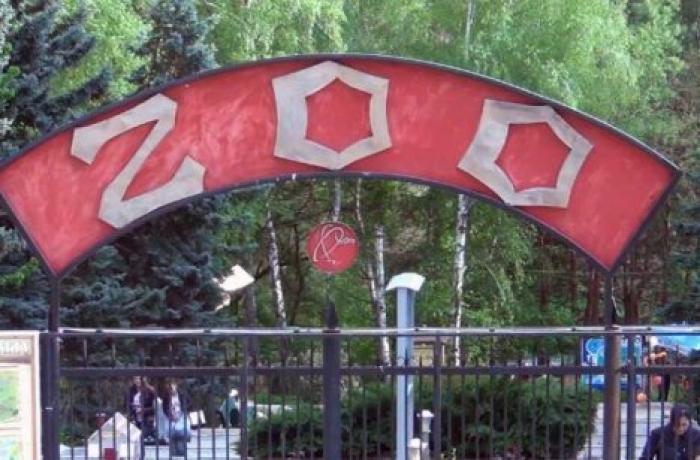 Бэби-бум в столичном зоопарке: около ста новых обитателей