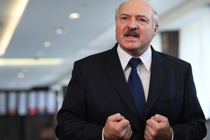 Лукашенко остался недоволен подходами к овцеводству