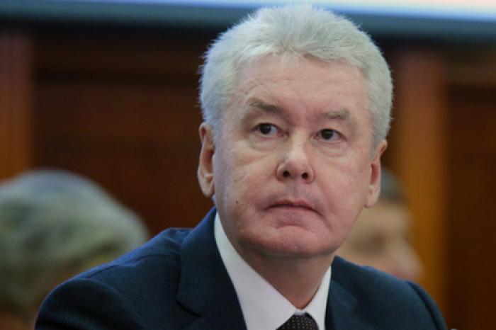 Собянин попросил главу полиции Москвы лично заняться делом журналиста «Медузы»