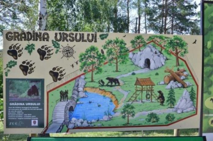 В кишиневском зоопарке началось строительство новых вольеров для медведей