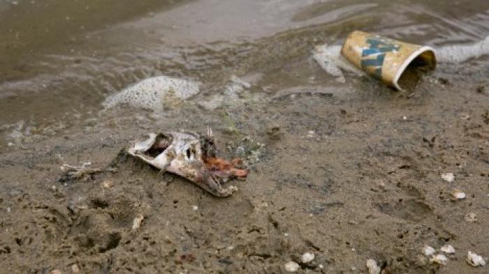 Вода в озере Валя Морилор загрязнена: рыба погибает