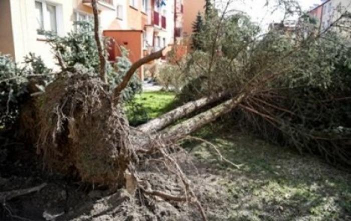 В Польше из-за ураганов без света остались более 11 тысяч домохозяйств