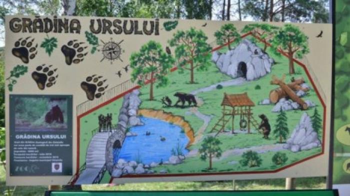 В зоопарке начали строительство нового вольера для двух бурых медведей