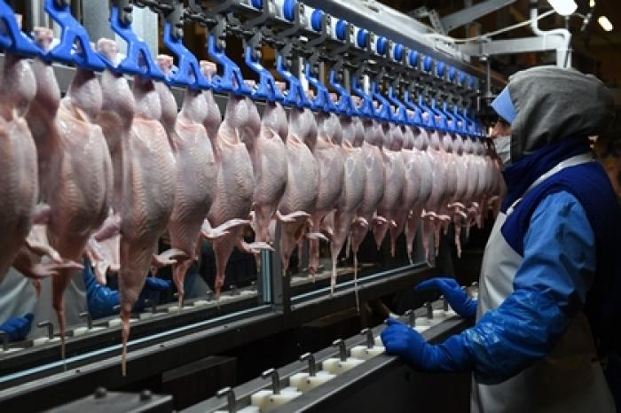 Японцы захотели разрешить российскую курятину