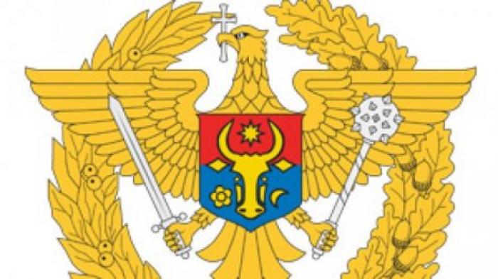 Заявление Минобороны: Национальная армия останется вне политических игр