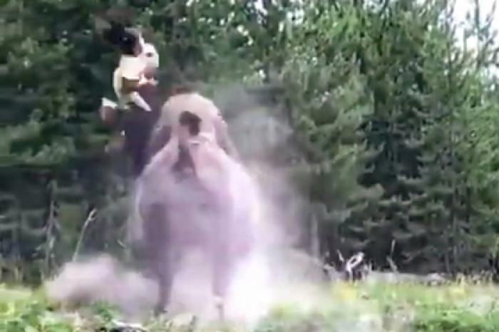 Нападение разъяренного бизона на девочку попало на видео